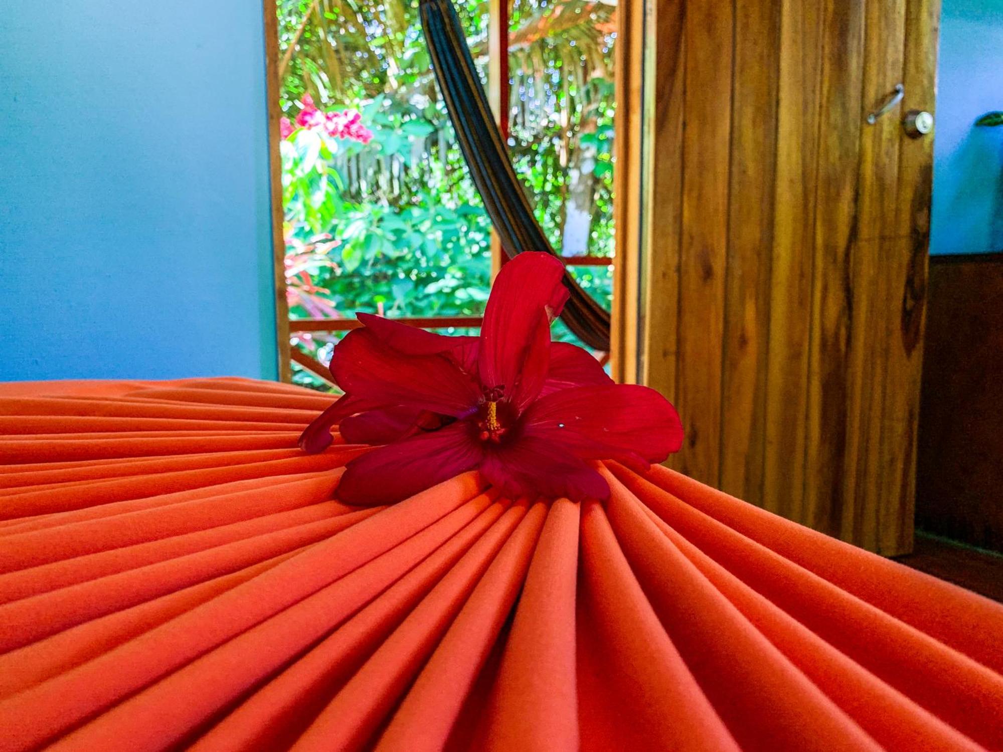 Las Caletas Lodge Drakes Bay Chambre photo